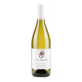 Friuli Pinot Grigio 2022