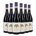 Barbaresco DOCG Matthias 2022 Box da 6 bottiglie