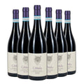 Barbera d'Alba DOC Brichet 2024 Box da 6 bottiglie