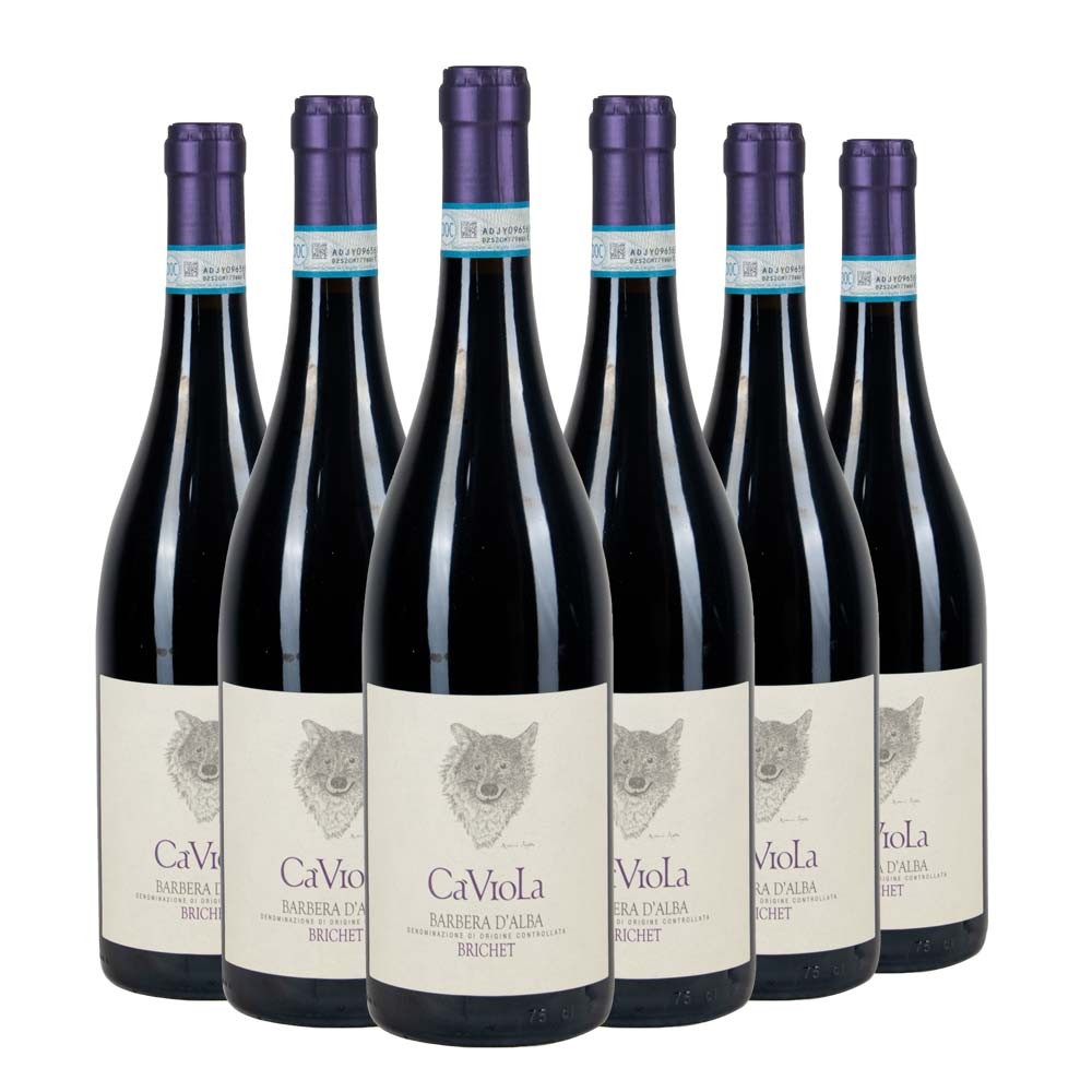 Barbera d'Alba DOC Brichet 2024 Box da 6 bottiglie
