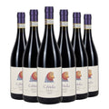Barolo DOCG Caviot 2022 Box da 6 bottiglie