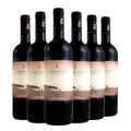 Bolgheri DOC Bruciato 2024 Box da 6 bottiglie