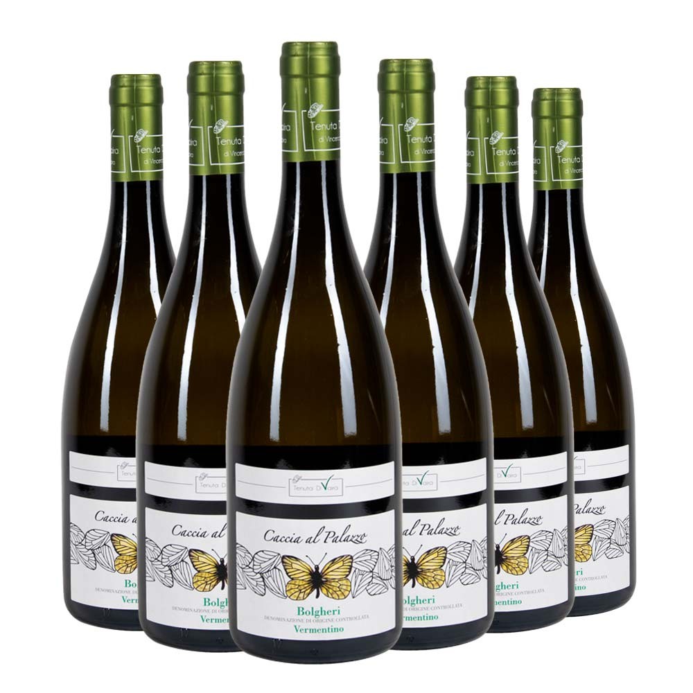 Bolgheri DOC Vermentino Caccia al Palazzo 2022 Box da 6 bottiglie