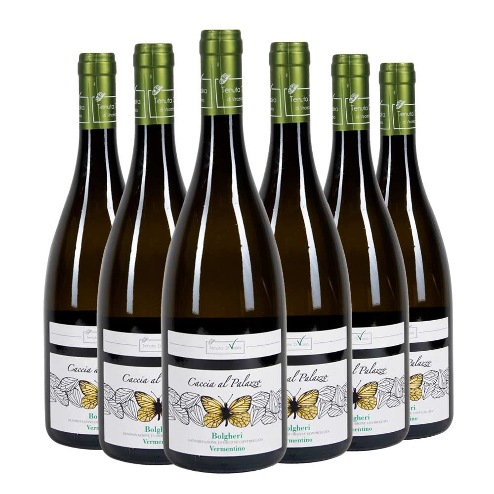 Bolgheri DOC Vermentino Caccia al Palazzo 2025 Box da 6 bottiglie