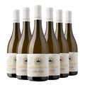 Costa Toscana IGT Vermentino Gualdo del Re 2023 Box da 6 bottiglie