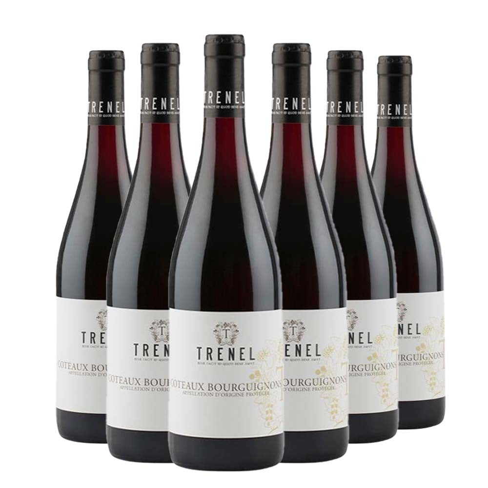 Bourgogne AOC Coteaux Bourguignons Gamay 2023 Box da 6 bottiglie