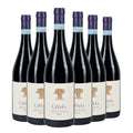 Dolcetto D'Alba DOC Vilot 2023 Box da 6 bottiglie