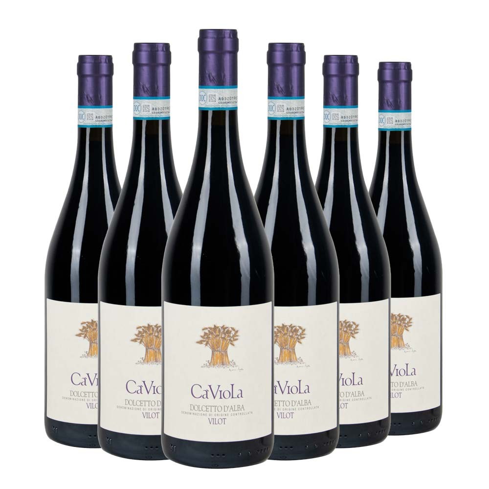 Dolcetto D'Alba DOC Vilot 2023 Box da 6 bottiglie