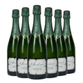Franciacorta DOCG Nitens Brut Box da 6 bottiglie