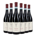 Langhe DOC Nebbiolo Rangone 2024 Box da 6 bottiglie