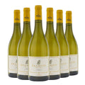 Umbria IGT Chardonnay Bramito della Sala 2024 Box da 6 bottiglie
