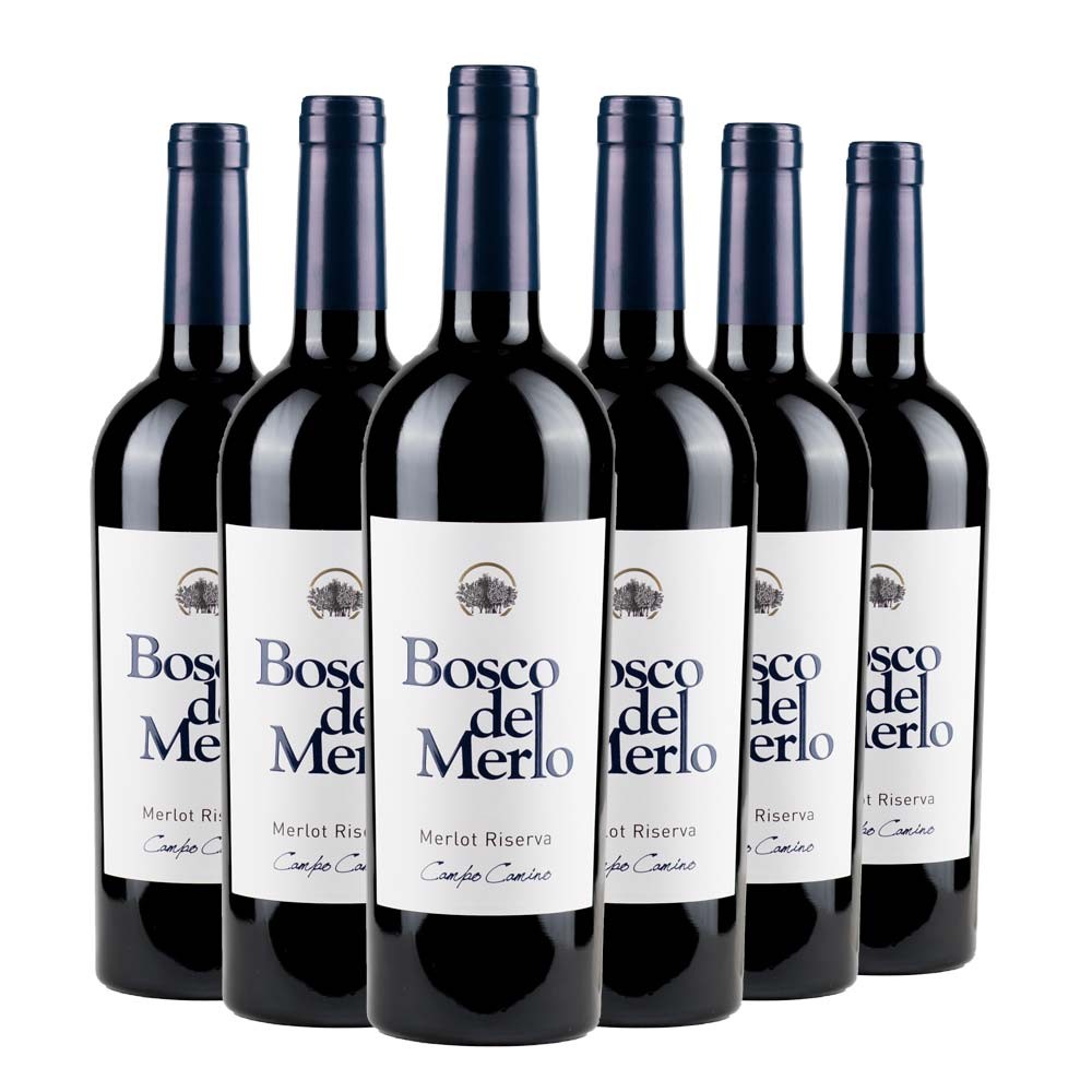 Venezia DOC Merlot Campo Camino Riserva 2020 Box da 6 bottiglie