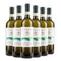 Vernaccia di San Gimignano DOCG 2024 Box da 6 bottiglie